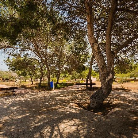 Apartament "Parque Mar" لا ماتا المظهر الخارجي الصورة